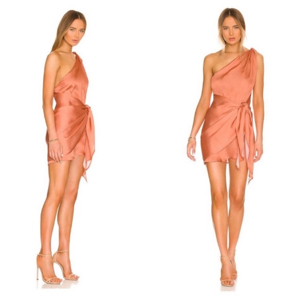 Baobab Marea dress in Peach Blossoms 🍑 X-S and Small - Picture 5 of 8